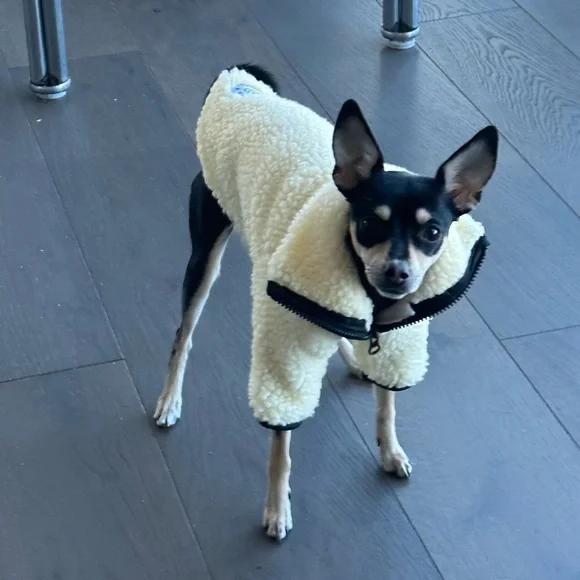 Hilary’s Hounds Custom Made Sherpa Fleece Lined Coat - Picture 2 of 5